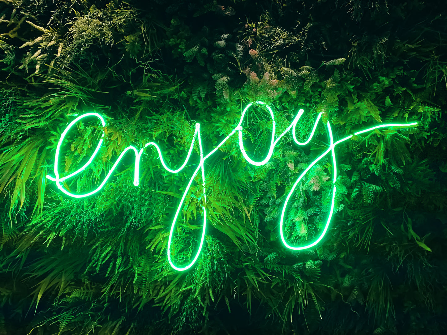 Enjoy LED