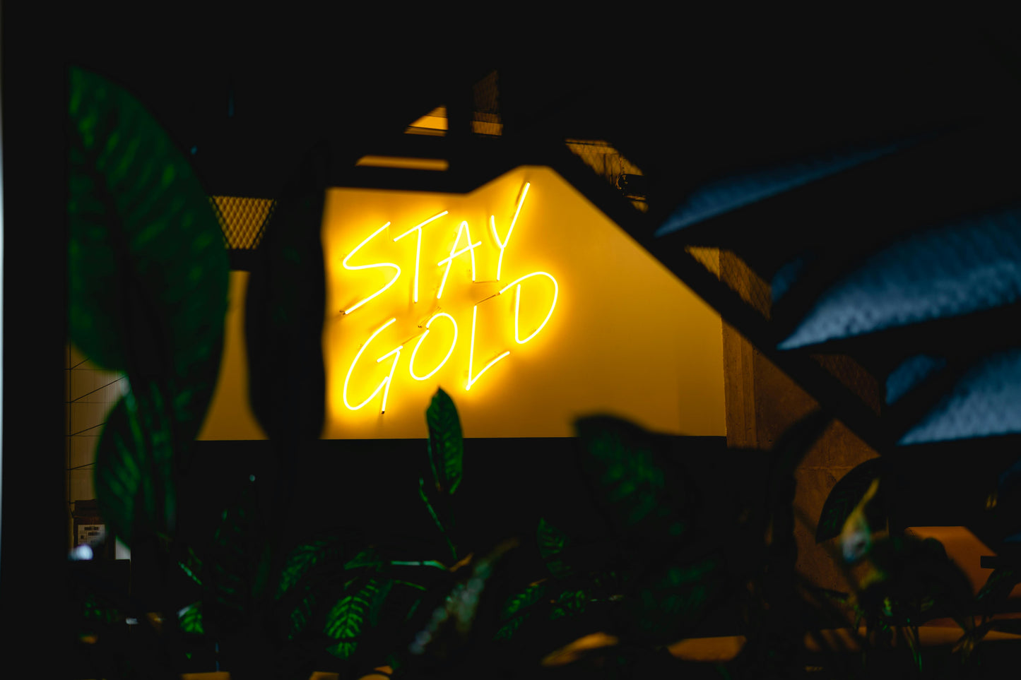Stay Gold LED