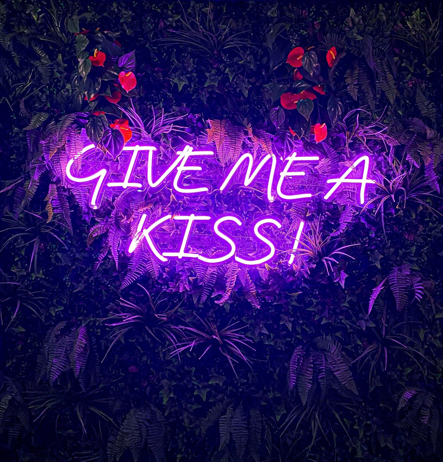 Give Me a Kiss!
