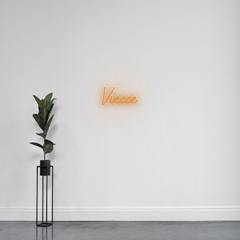 INSEGNA LED PERSONALIZZATA Viecce